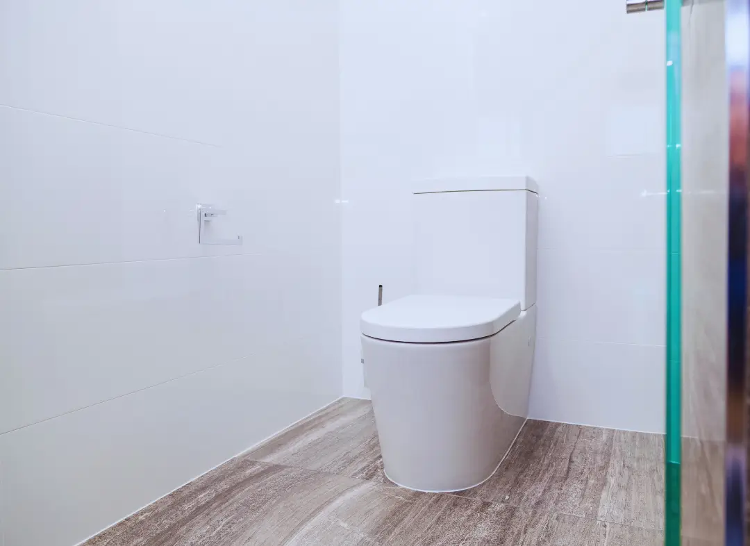 Remplacement de wc Piolenc